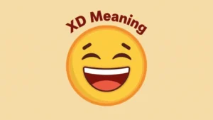 xd meaning