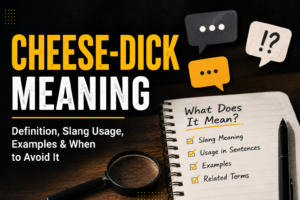 Cheese dick meaning explained with slang usage and online context illustration